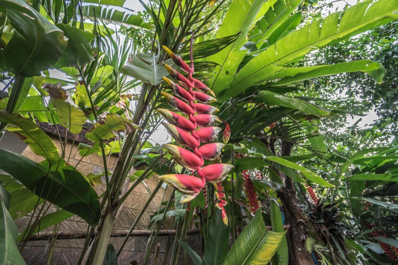 Tegar Guest House Ubud Dış mekan fotoğraf